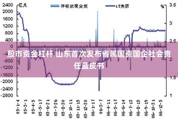 股市资金杠杆 山东首次发布省属国资国企社会责任蓝皮书