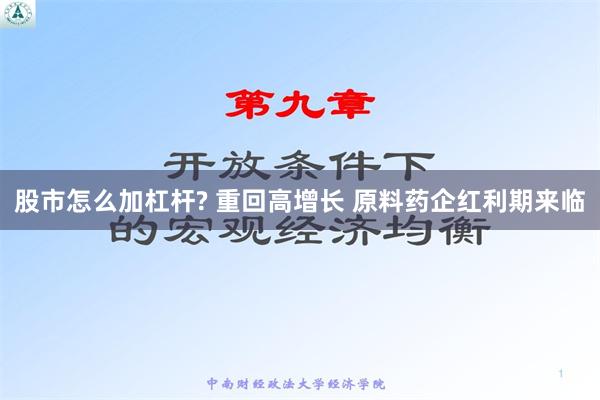 股市怎么加杠杆? 重回高增长 原料药企红利期来临