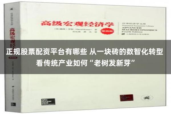 正规股票配资平台有哪些 从一块砖的数智化转型 看传统产业如何“老树发新芽”