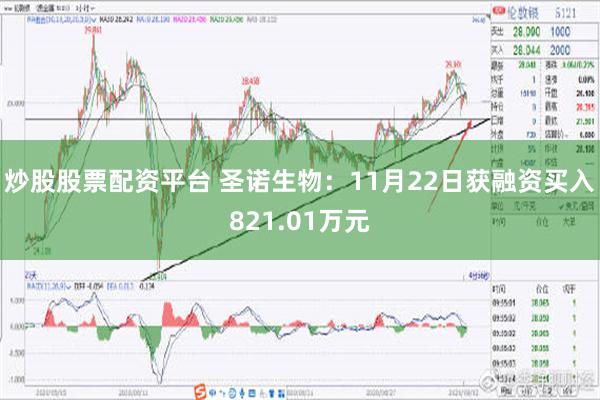 炒股股票配资平台 圣诺生物：11月22日获融资买入821.01万元