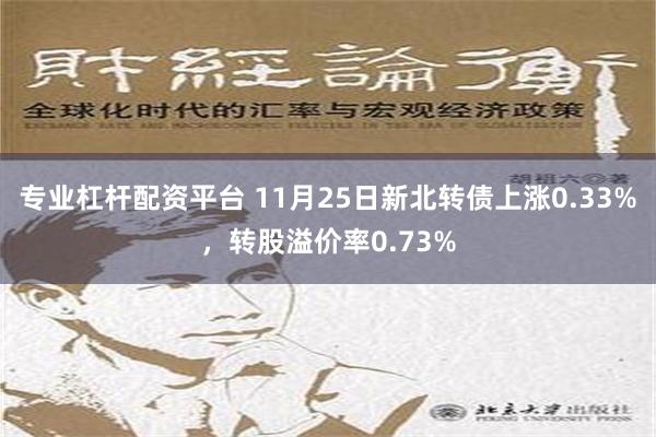 专业杠杆配资平台 11月25日新北转债上涨0.33%，转股溢价率0.73%