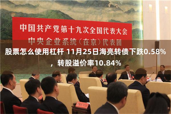 股票怎么使用杠杆 11月25日海亮转债下跌0.58%，转股溢价率10.84%