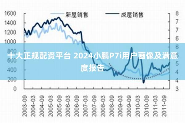 十大正规配资平台 2024小鹏P7i用户画像及满意度报告