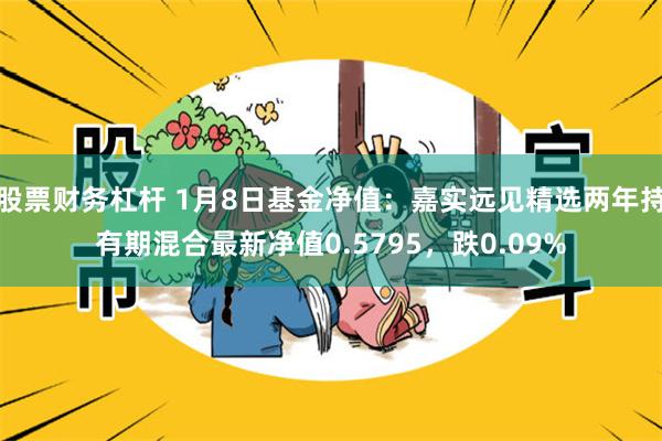 股票财务杠杆 1月8日基金净值：嘉实远见精选两年持有期混合最新净值0.5795，跌0.09%