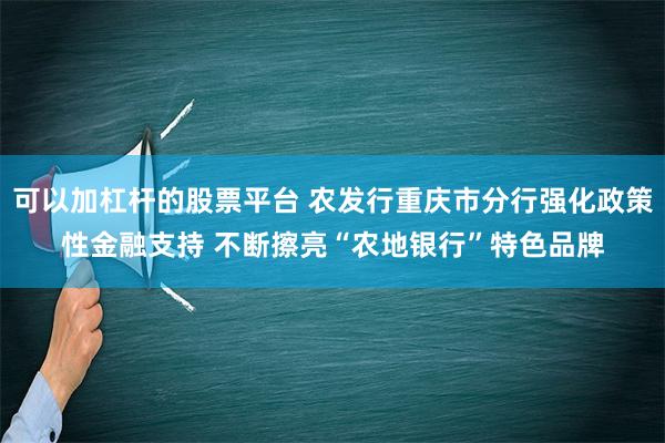 可以加杠杆的股票平台 农发行重庆市分行强化政策性金融支持 不断擦亮“农地银行”特色品牌