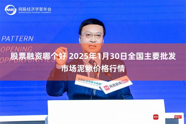 股票融资哪个好 2025年1月30日全国主要批发市场泥鳅价格行情