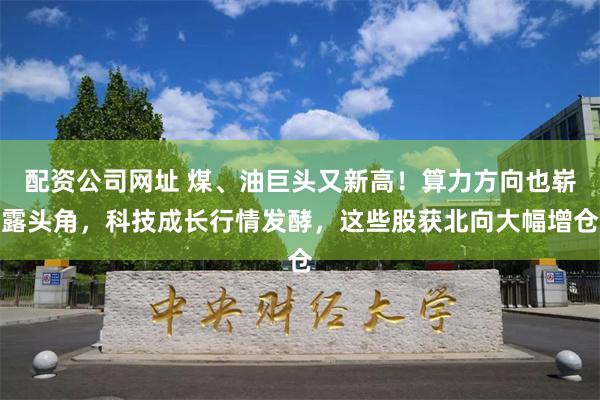 配资公司网址 煤、油巨头又新高！算力方向也崭露头角，科技成长行情发酵，这些股获北向大幅增仓